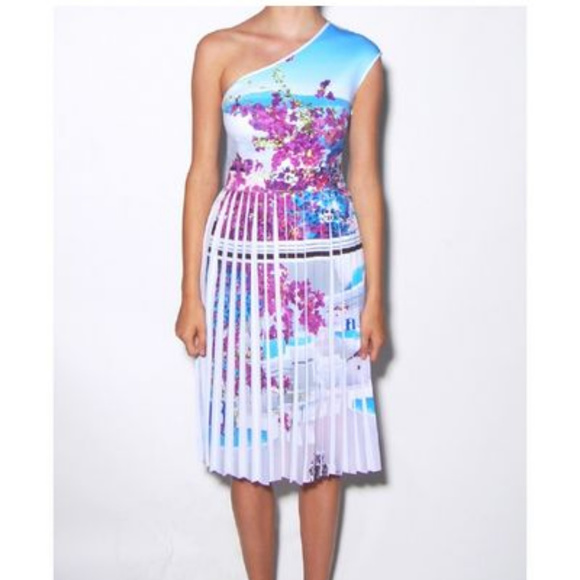 Clover Canyon Santorini One Shoulder Pleated Dress - Picture 2 of 5